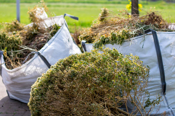 Best Yard Waste Removal  in Hinckley, IL